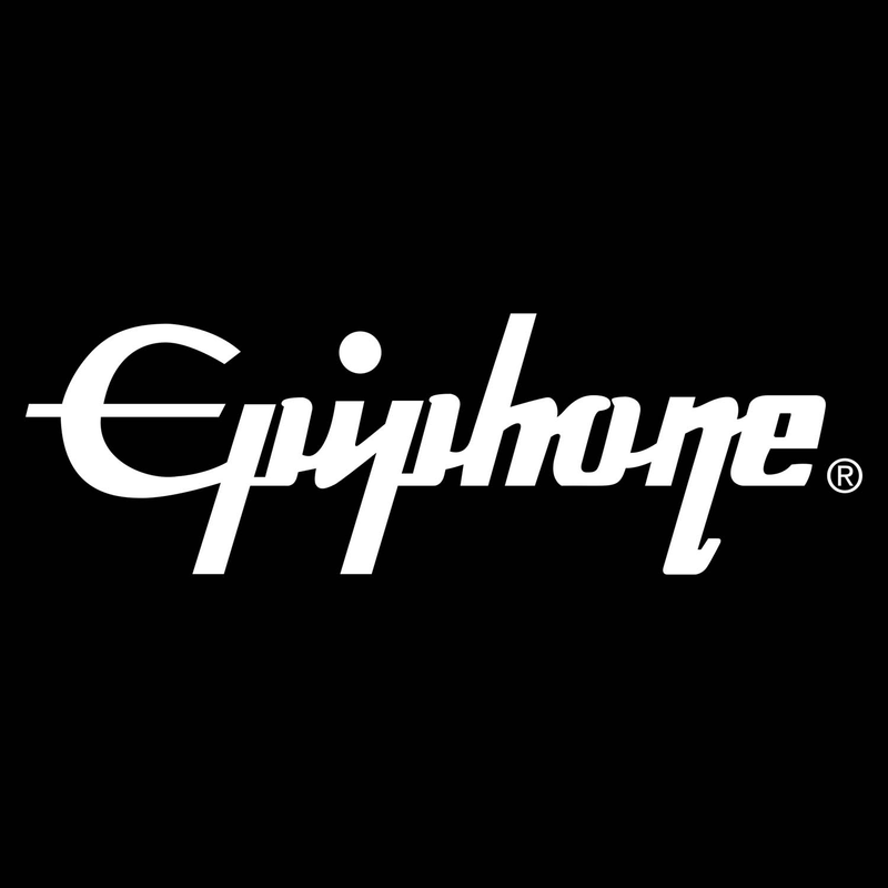 Epiphone Amp Parts