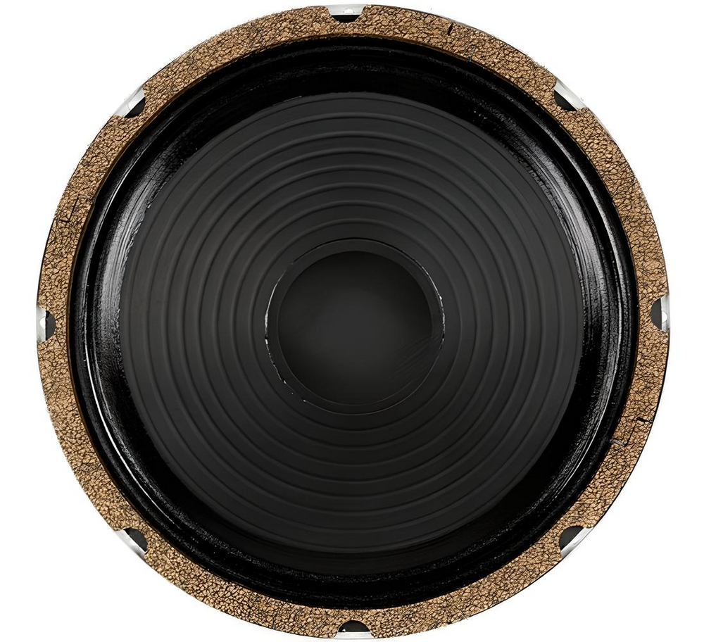 WGS ET10 | 10" | 65 Watts | Warehouse Guitar Speakers