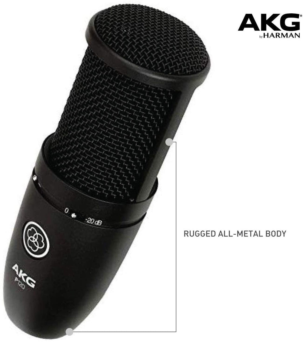 AKG P120 High-Performance General Purpose Recording Microphone - British Audio