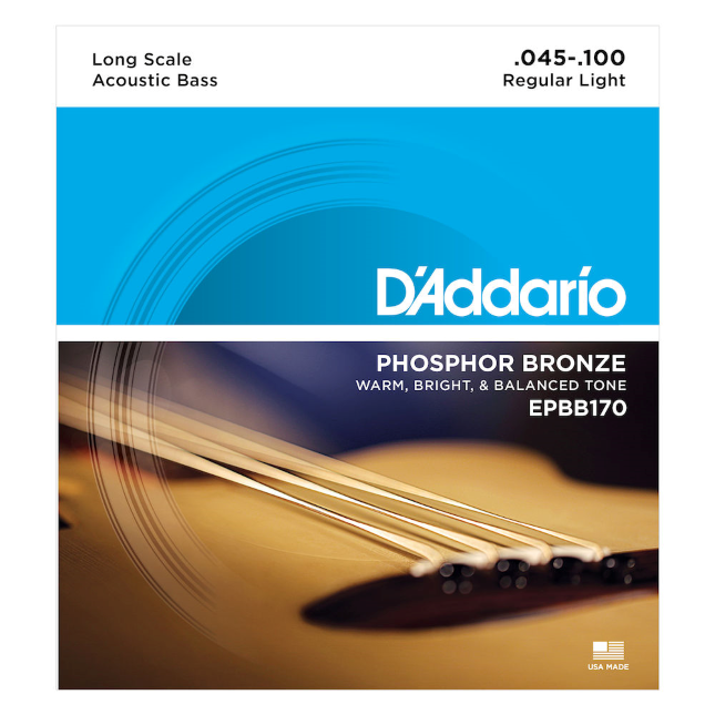 D'Addario EPBB170 Phosphor Bronze Acoustic Bass, Long Scale, 45-100